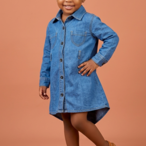 Jean Shirt Dress